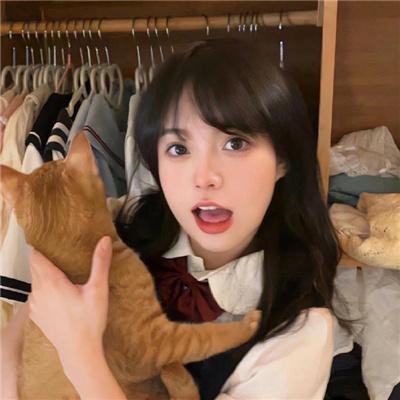 追爱家族